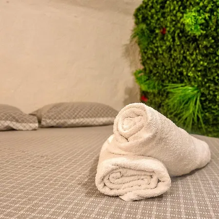 Charme Et Authenticite A - Centre & Plages 公寓 *