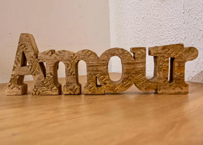 公寓 Charme Et Authenticite A - Centre & Plages 芒通